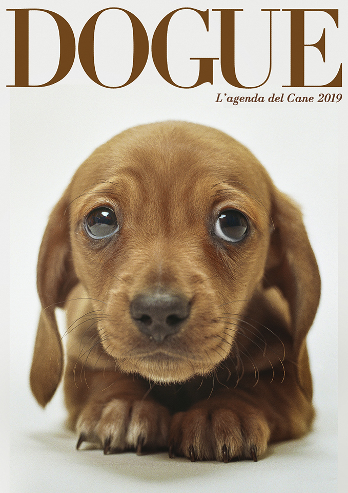 AGENDA DOGUE 2019 AGENDA DOGUE 2019