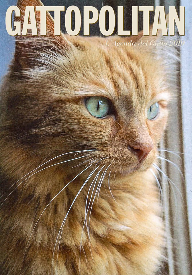 AGENDA GATTOPOLITAN 2019 AGENDA GATTOPOLITAN 2019